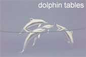 dolphin table by derek pearce