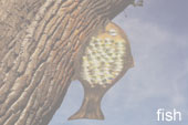 fish by derek pearce