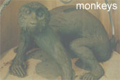 monkeys by derek pearce